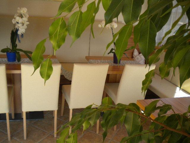 Apartment Koenighaus